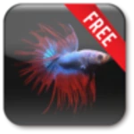 betta free android application logo